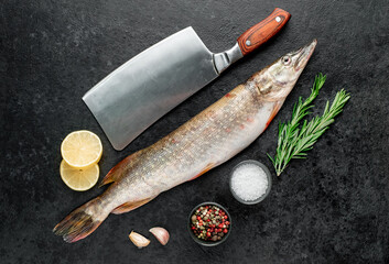raw pike fish on stone background