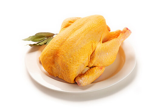 pollo entero crudo fresco sin cocinar en plato de vajilla, aislada fondo blanco