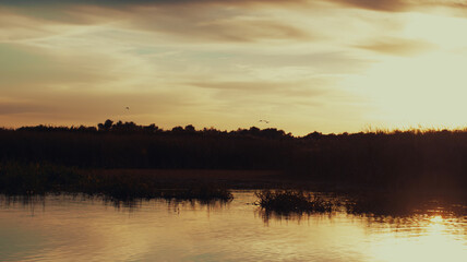 Naklejka premium Sunset over lake