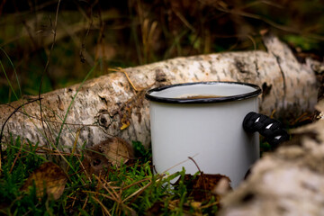 a cup of tea in the forest. forest background. moss and leaves