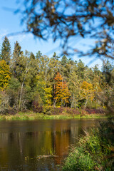 Fototapeta na wymiar Colorful autumn with river