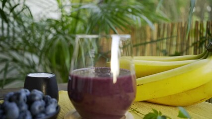 Woman puts glass of tasty purple smoothie of berries and fruit on table with different fresh ingredients near pot palm in light room extreme closeup