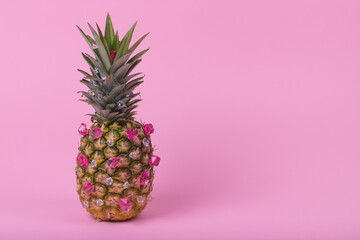 Glamorous pineapple hipster with bright diamonds, stylish fruit.