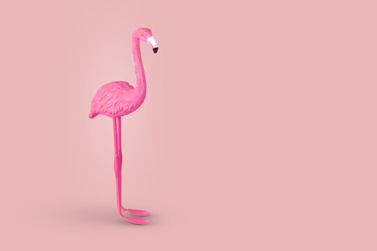 Pink flamingo bird on pastel pink background.