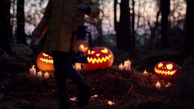 Mysterious and scary Halloween background. Glowing jack-o-lantern pumpkins and burning candles at night. Unrecognizable brave little girl holding lantern walking through dark forest on Halloween eve