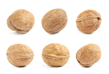 Set with tasty walnuts on white background