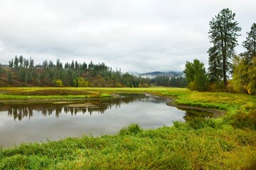 Fototapeta na wymiar Small pond in north Idaho.