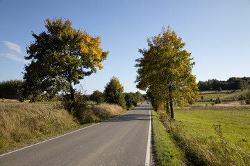 Road in autumn PL