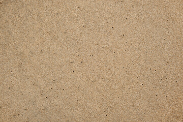 Sandy coast texture