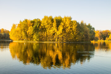 A small island with bright trees with autumn foliage on a pond with a reflection in the water against a clear blue sky on a clear day and a space to copy
