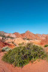 Mars sur Terre