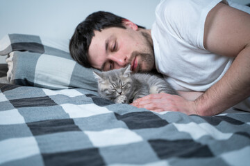Best friends taking nap. Man lies on bed and plays with British little kitten. Relationship of owner and domestic feline animal pet. Adorable furry kitten Scottish Straight breed spends time with man