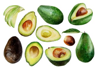 avocado isolated on white