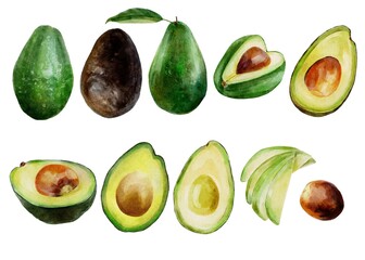 set of avocado