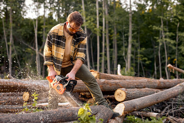 Focused wood man in protective goggles sawing with chainsaw tree trunk in summer forest. Concept of a professional logging. Bearded lumberjack. Brutal bearded lumberjack in casual plaid shirt