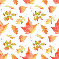 Hand painted watercolor seamless pattern Autumn foliage