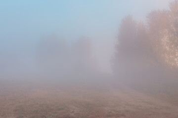 Fototapeta na wymiar Beautiful autumn misty sunrise landscape. Rural road and trees through the dense fog.