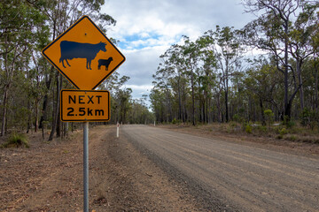 Cattle ahead sign