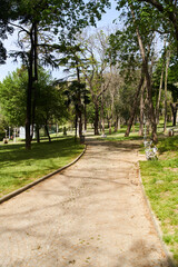 The paths of Gulhane Park in Istanbul in spring. Fatih district. High quality photo