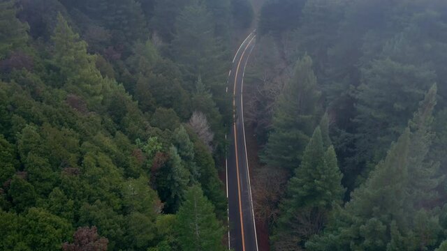 Aerial: Redwood forest and highway in the Avenue of the Giants. USA