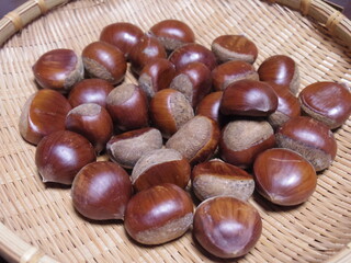 採れたての栗　秋の味覚