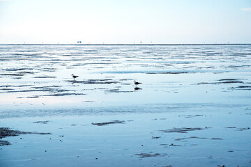 Wattenmeer