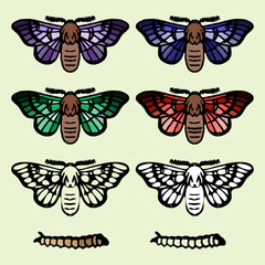 Vector collection of butterflies.EPS 10