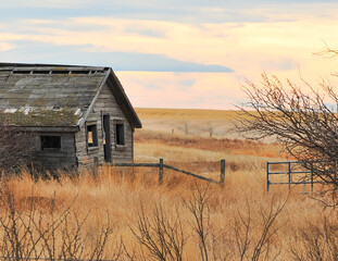 Calgary, Albert, Canada - August 04,2020: Old homestead building alone in wide Alberta prairie at...