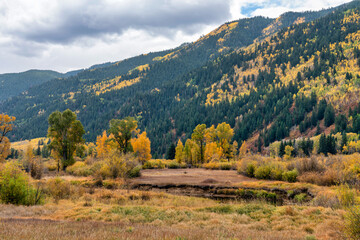 Fototapeta na wymiar Autumn leaf colors Colorado