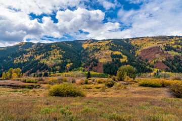 Fototapeta premium Autumn leaf colors Colorado