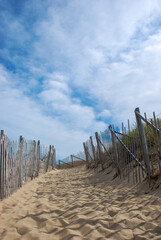 Fototapeta na wymiar Beach Dunes Pathway - New England