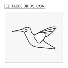  Hummingbird line icon. Small nectar-feeding tropical Australian bird. Colourful iridescent plumage.Birds concept. Isolated vector illustration. Editable stroke