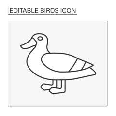  Duck line icon. Aquatic birds live near lakes. Small, short-necked, large-billed waterfowl.Birds concept. Isolated vector illustration. Editable stroke