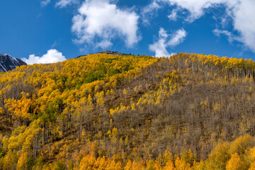 Autumn leaf colors Colorado