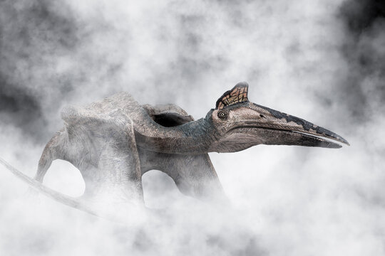  Quetzalcoatlus ,dinosaur On Smoke Background