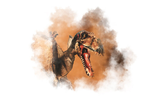 Dimorphodon Dinosaur on smoke background
