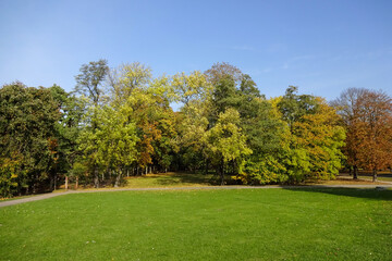 Autumn Landscape in city park Kadriorg in autumn season. Many spruce trees and trees with golden yellow folliage on the back. Green lawn in the front. Tallinn, Estonia, Europe. October 2021