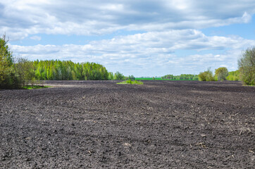 Plowed soil and green trees next to a field, agricultural landscape