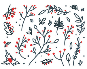 Collection of hand-drawn Christmas decorations. Holly, red berries, Christmas ball. A beautiful vector set of twigs with red berries for creating postcard designs, invitations and more.