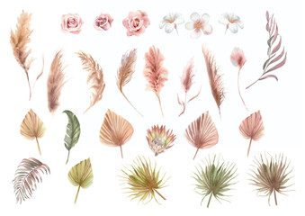 Watercolor boho floral set of pampas grass branches, palm leaves, dry flower, roses in pastel colors. Illustration for web design, print, fabric textile, wedding invitation and greeting cards