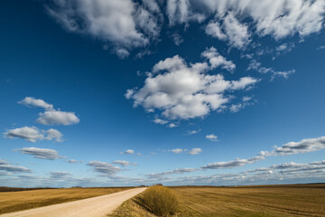 Blue sky background with big white striped clouds in field with gravel road. . blue sky panorama may use for sky replacement