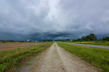 Fototapeta na wymiar dramatic storm cloud coming before heavy rain on Paddy field
