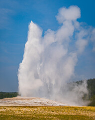 Old Faithful Geyser erupting regularly and frequently in Yellowstone National Park
