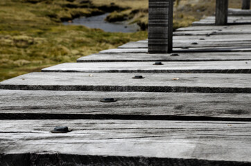 Pampalarama en La Paz Bolivia