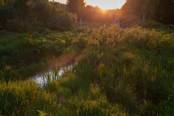 Sunset over the forest. Natural landscape in the evening.