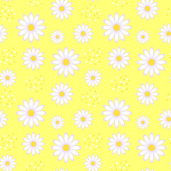 Fototapeta na wymiar Seamless pattern with chamomile flowers on yellow background.