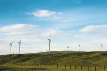 Fototapeta premium Windmill farm