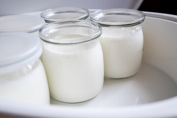 Obraz na płótnie Canvas Several glass jars with classic Greek yogurt in the process of cooking in a yogurt maker close-up, homemade yogurt. 