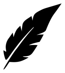 Feather icon with flat style. Isolated vector feather icon image, simple style.