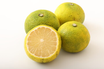 《宮崎県》日向市特産　へべす